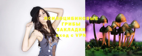 прущий лед Алексин