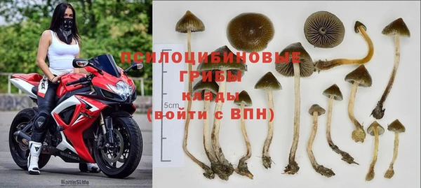 прущий лед Алексин