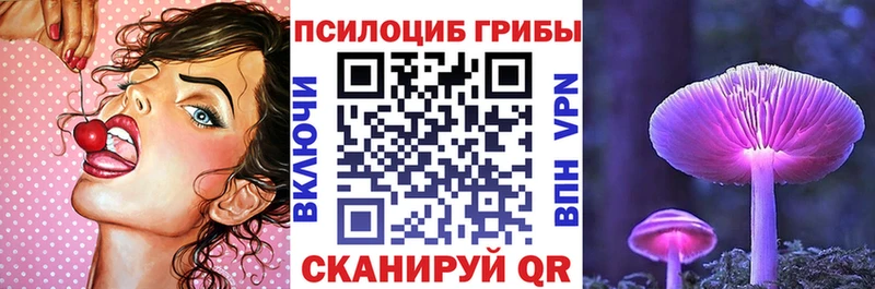 Псилоцибиновые грибы Psilocybine cubensis  Сухой Лог 